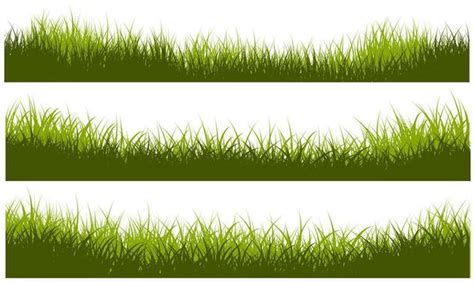 Grass Border Vector Art, Icons, and Graphics for Free Download