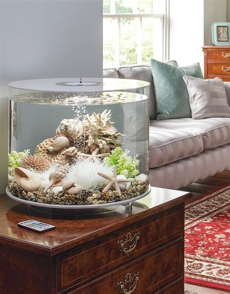 Aquarium Ideas for your Home | Create an Ocean Underwater World