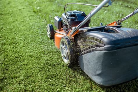 Lawn mower cutting grass stock image. Image of mover - 163031423