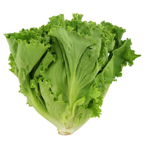 (EA) Green Leaf Lettuce – Sun Food Warehouse