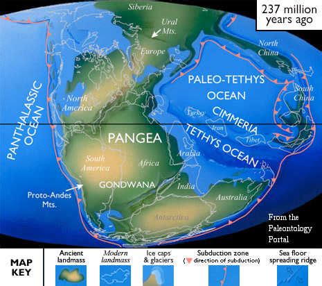 Palaeos Mesozoic: Triassic: Middle Triassic