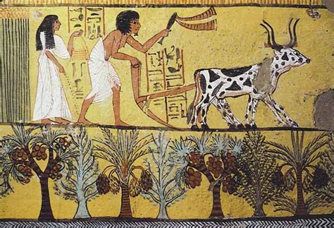 Ancient Egyptian Agriculture, Farming, Diet, Animals - Crystalinks