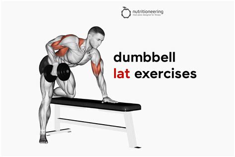 13 Dumbbell Lat Exercises to Beef Up Your Back Workout