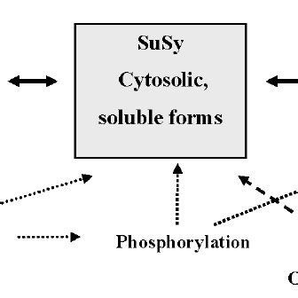 (PDF) Sucrose metabolism in plant tissues under stress conditions: key ...