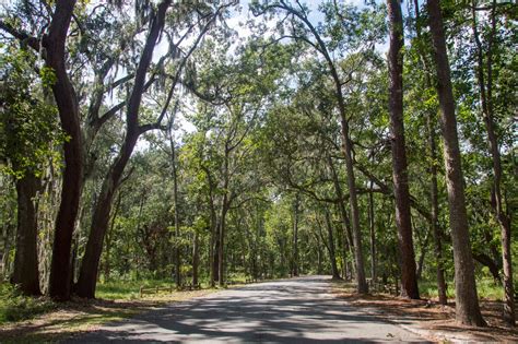 Skidaway Island State Park Campground | Outdoor Project