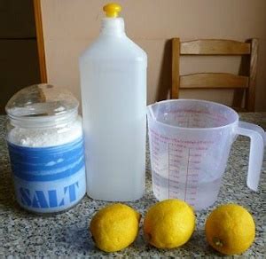 Lemon DIY Dishwashing Liquid - Limoneira