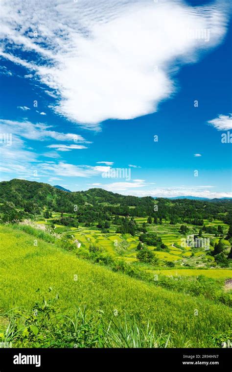 Rice terraces of Hoshitoge Stock Photo - Alamy