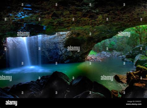 Australia, Queensland, Springbrook, national park, waterfall, cave Stock Photo: 68412205 - Alamy