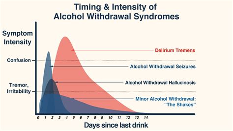 Alcohol Detox Guide: How Long Do Delirium Tremens (DTs) Last? - Stonegate Center