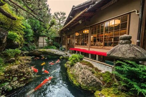 a japanese garden with koi fish swimming in the water