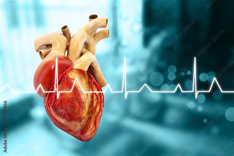 Human heart anatomy on blurred medical background. 3d illustration Stock 일러스트레이션 | Adobe Stock
