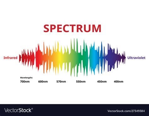 Visible spectrum color electromagnetic spectrum Vector Image