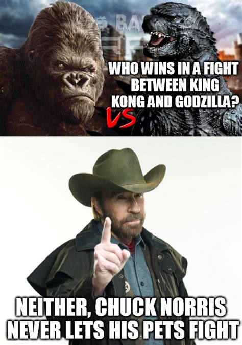 28 Funny 'Godzilla vs. Kong' Memes to Body Slam Depression - Funny Gallery | eBaum's World