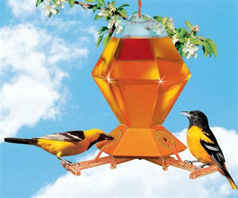 Pin on Bird Feeders