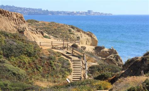 Torrey Pines State Natural Reserve, San Diego, CA - California Beaches