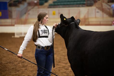 Livestock Shows - Georgia Grown at the Fair