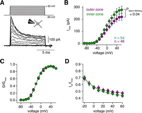 Figures and data in Gradients in the mammalian cerebellar cortex enable Fourier-like ...
