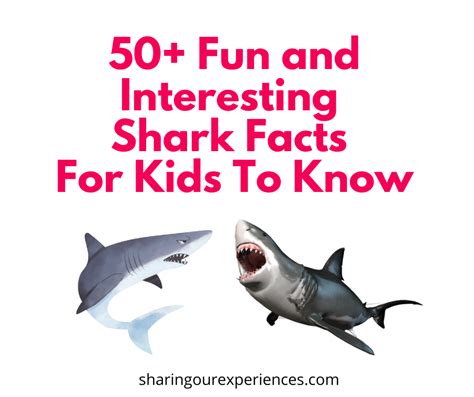 50 Fun And Interesting Shark Facts For Kids To Know - Sharing Our Experiences