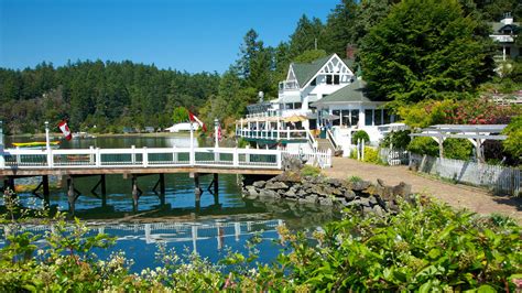 Visit San Juan Island: Best of San Juan Island, Friday Harbor Travel 2022 | Expedia Tourism