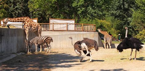 Zoos and Aquariums | LAJewishGuide.com – Your #1 Guide to Jewish Los ...