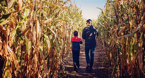 If You Keep Turning Right, Can You Make It Out of Any Corn Maze?