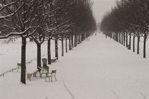 Tuileries garden in Paris stock photo. Image of holiday - 47477864