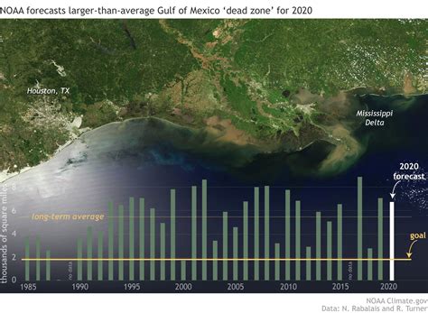 Gulf of Mexico dead zone: Summer 2020 forecast | Earth | EarthSky