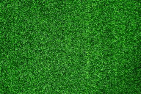 Green grass texture background grass garden concept used for making green background football ...