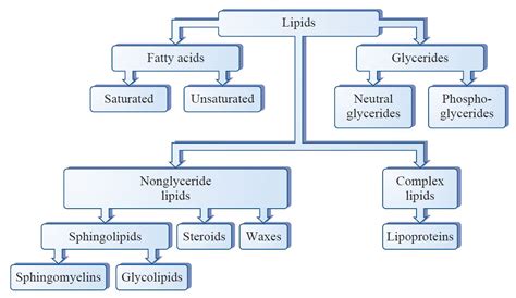 Lipid Metabolism and Enzymes - Creative Diagnostics