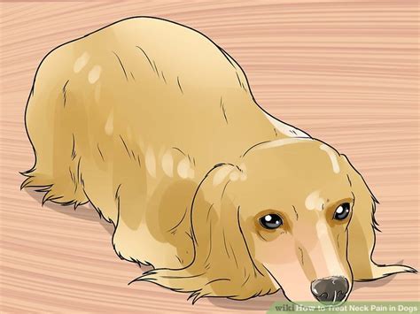 6 Ways to Treat Neck Pain in Dogs - wikiHow