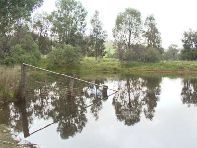 Enhancing farm dams - Local Land Services