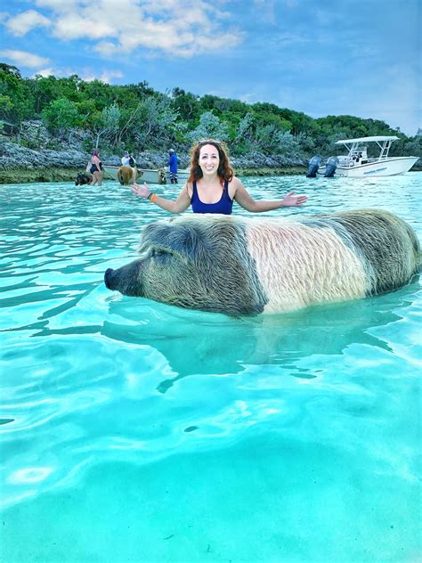 Basic Guide to Bahamas Pig Beach - Basic Travel Couple