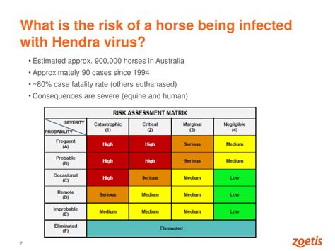 PPT - Hendra virus and the Hendra virus vaccine PowerPoint Presentation ...