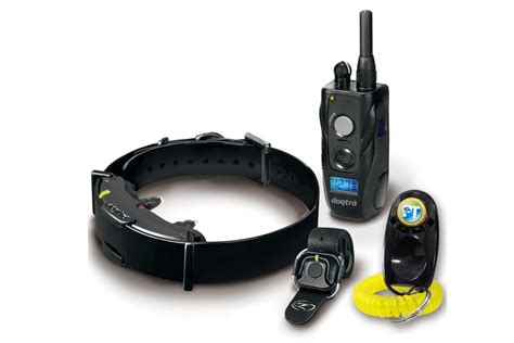 3 Best Remote Dog Collars for the Everyday Working Canine | GearJunkie