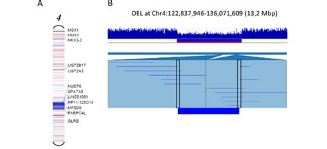 A 13.2 Mb large deletion on chromosome 4. (A) Detection and ...