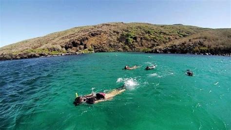 Santa Fe and Playa Escondida snorkeling tour - KKday