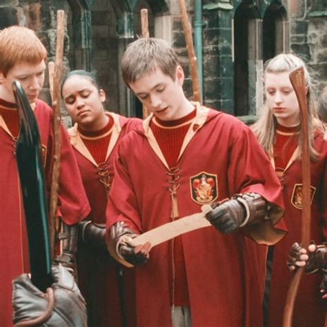 gryffindor quidditch team •.* ࿔ | Gryffindor, Oliver wood, Quidditch