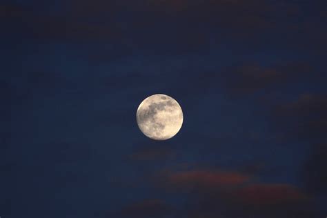 Photo of Full Moon on the Sky · Free Stock Photo