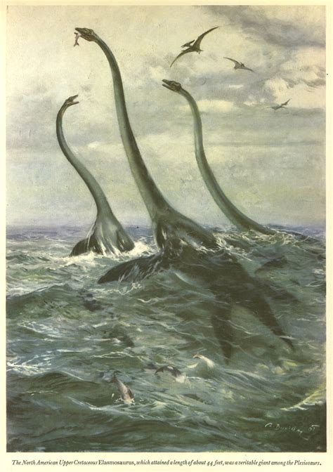 Elasmosaurus – Plesiosaur Directory