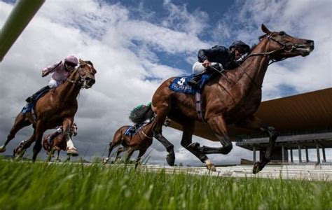 Save big on major fixtures at The Curragh Racecourse - Pynck