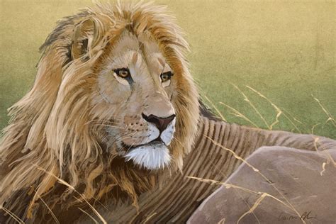 A couple of lion paintings. - The Art of Aaron Blaise