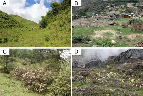 Bumble bee habitats in Arunachal Pradesh 554 (A) Grass-/shrubland at... | Download Scientific ...