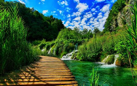 Wooden Pontoon Bridge Nature Landscape : 13, natural bridge HD wallpaper | Pxfuel