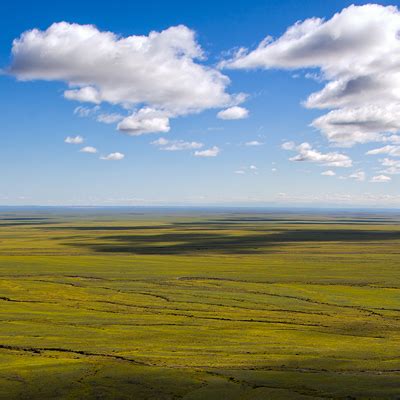 Mongolian Steppes