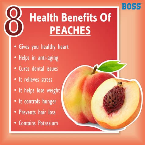 Peaches are one of the popular fruits which come in between May to October. It is very good for ...