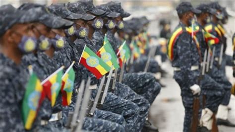 Ethiopia Is on the Brink of a Civil War - Left Voice