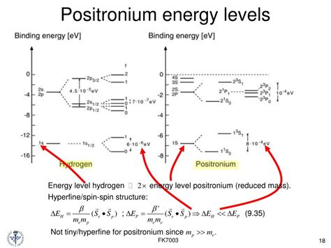 PPT - Lecture 9 PowerPoint Presentation, free download - ID:4523856