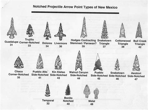 Projectile Points Photos | Stone age tools, Native american tools ...