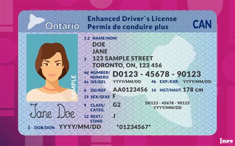 Ontario drivers license template - corporationmsa