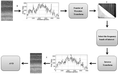 Comparison between Fourier and Wavelets Transforms in Biospeckle Signals